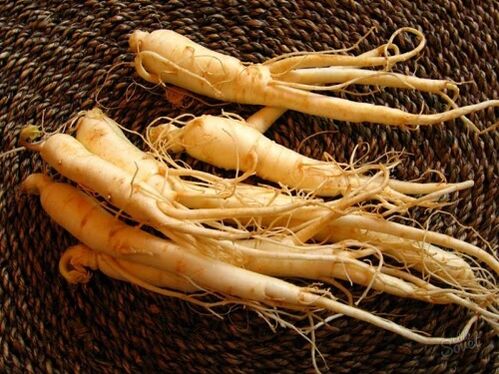 ginseng جڑ 60 کے بعد طاقت بڑھانے کے لیے۔